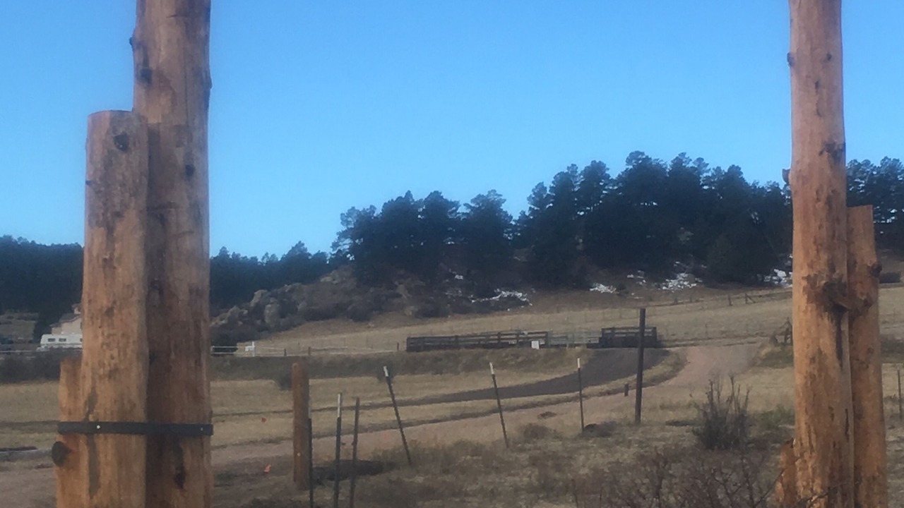 Photo of Others in Peyton