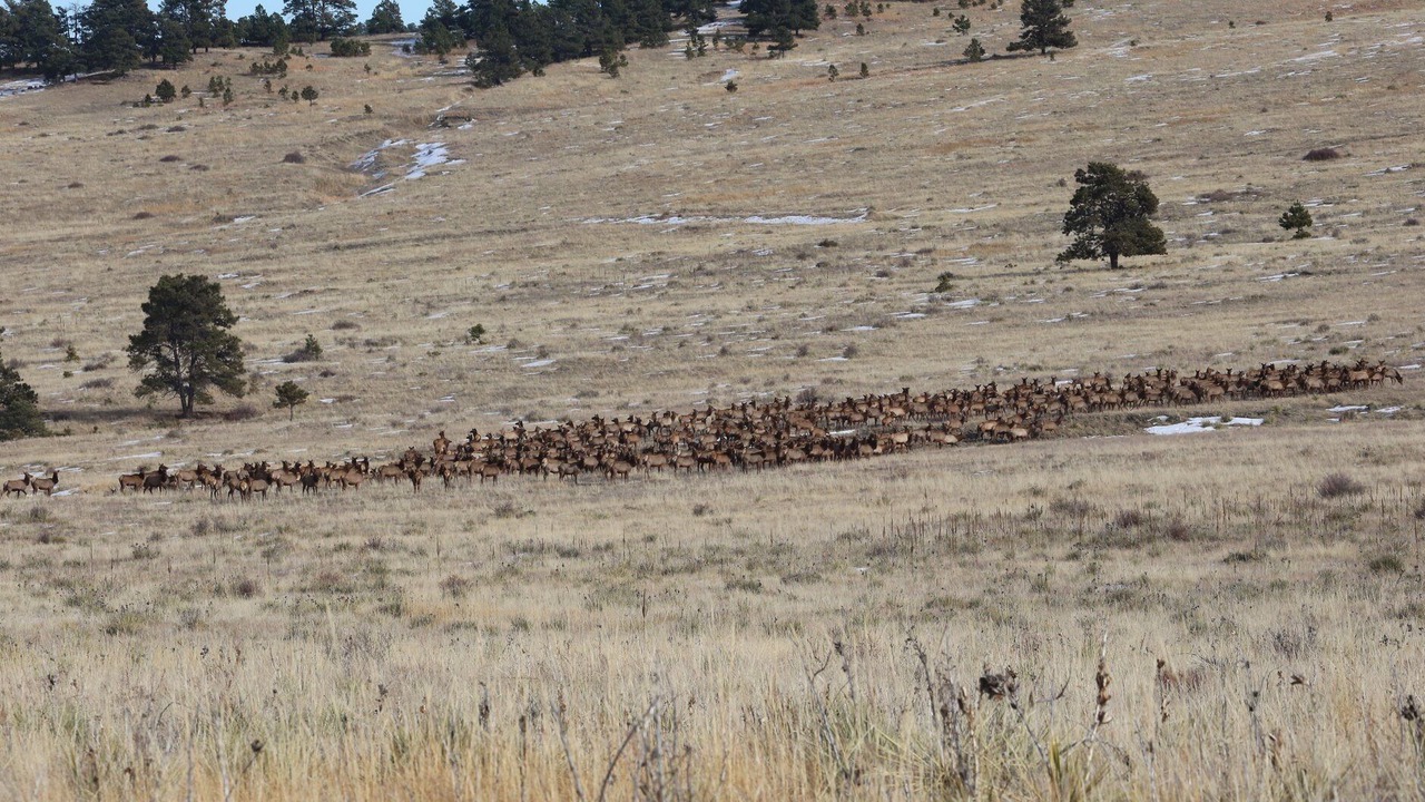 Photo of Others in Peyton