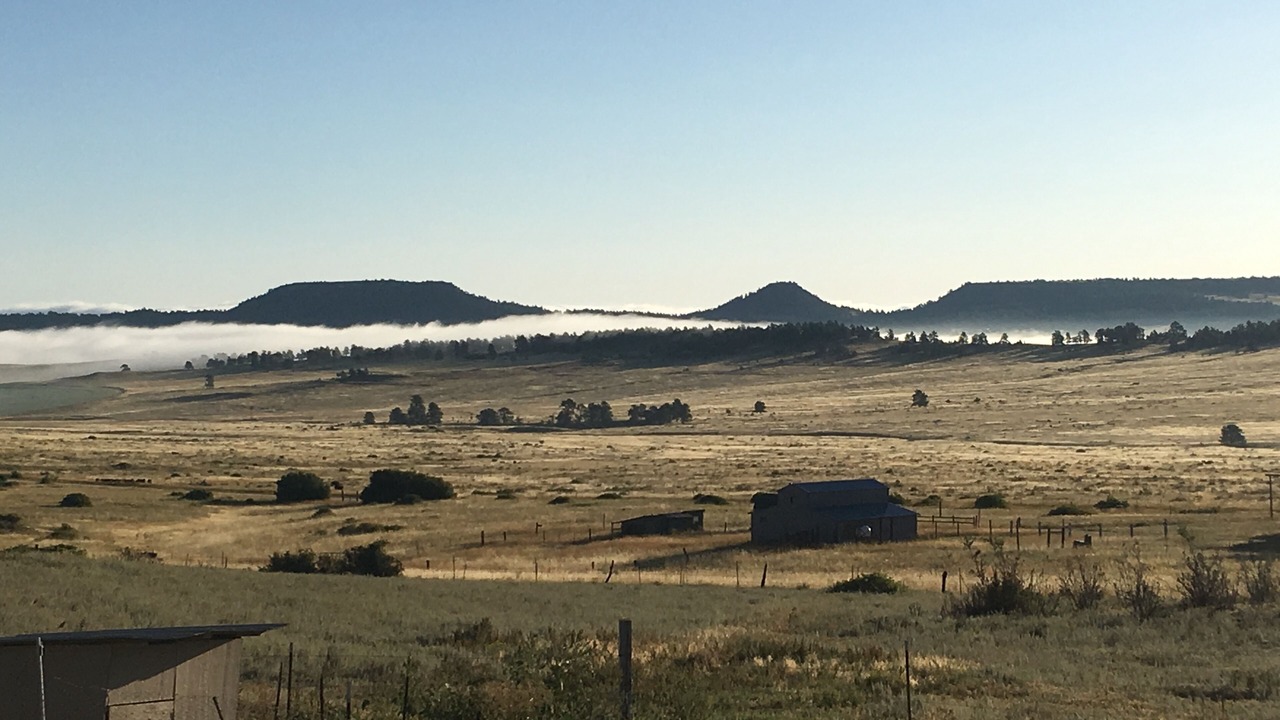 Photo of Outdoor in Peyton