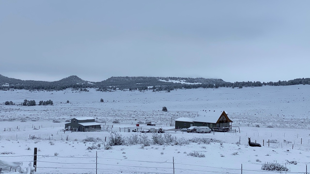 Photo of Others in Peyton