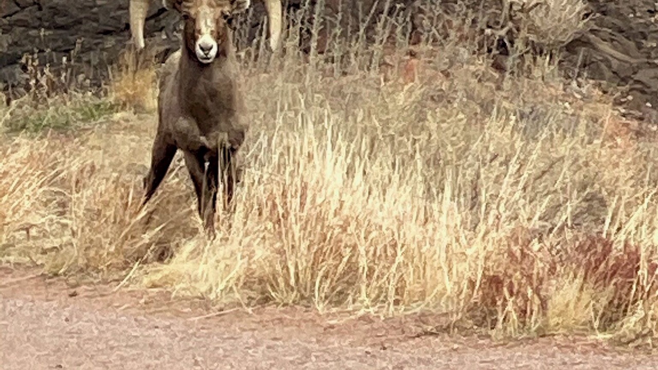 Photo of Others in Cripple Creek