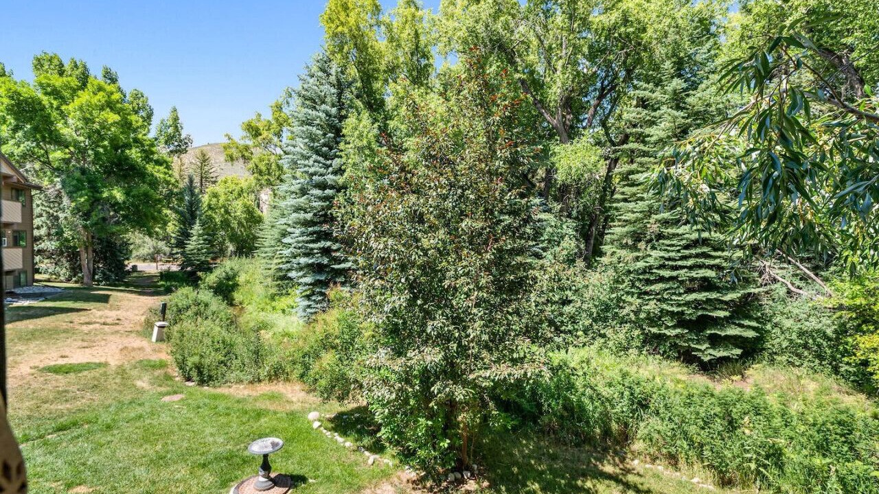 Photo of Outdoor in Avon