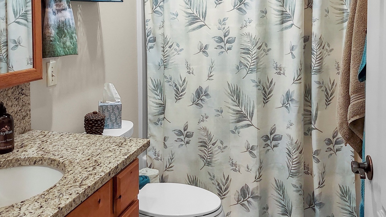 Photo of Bathroom in Montrose