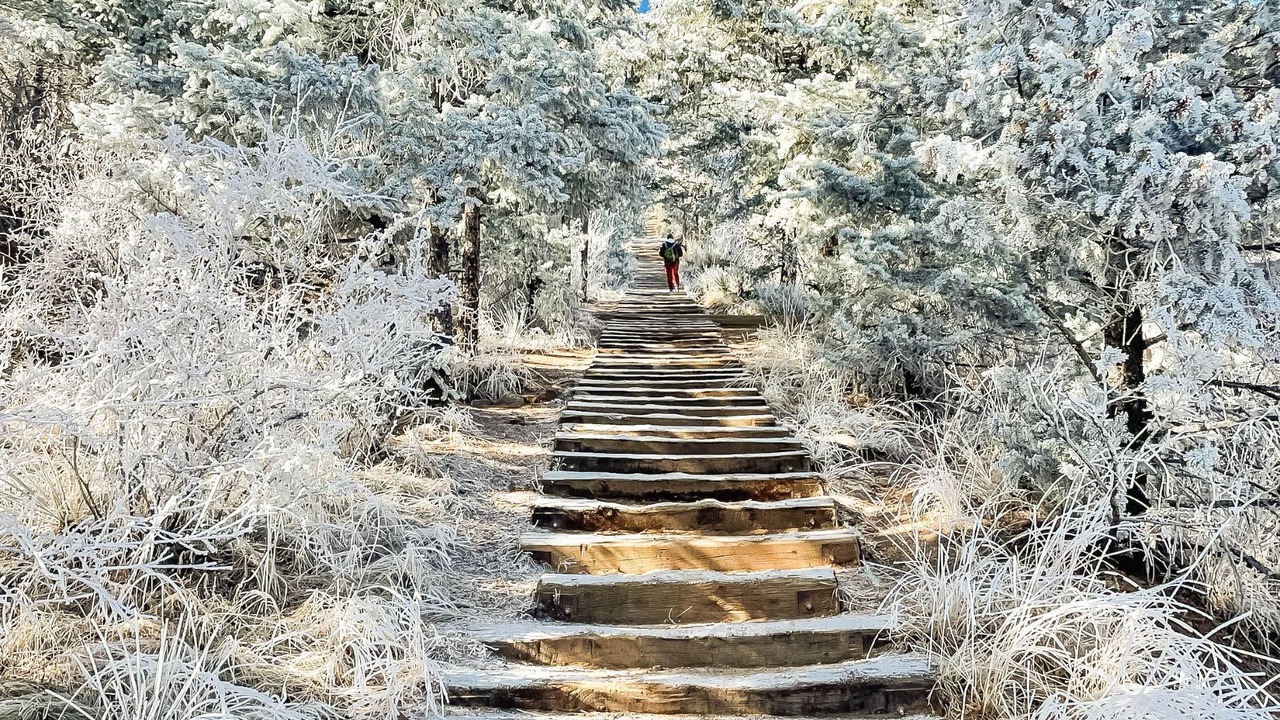 Photo of Others in Manitou Springs Historic District