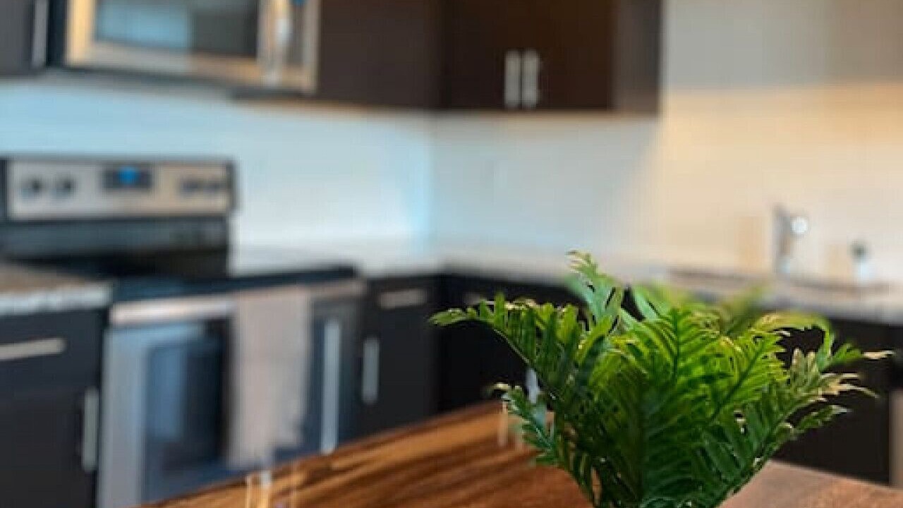 Photo of Kitchen in River North Art District