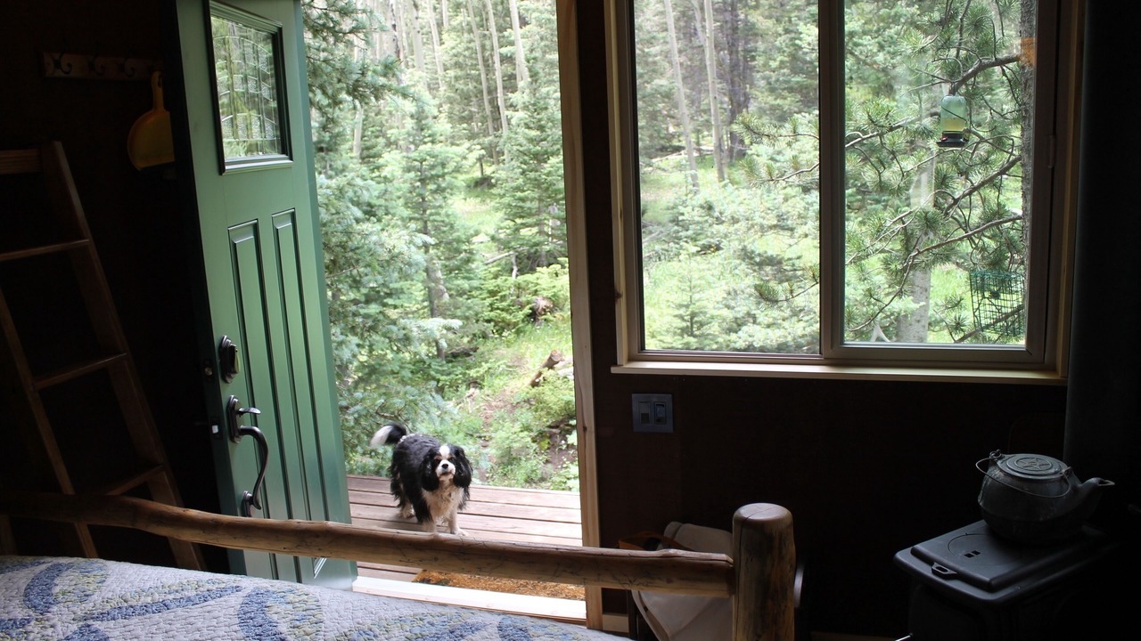 Photo of Bedroom in Fort Garland
