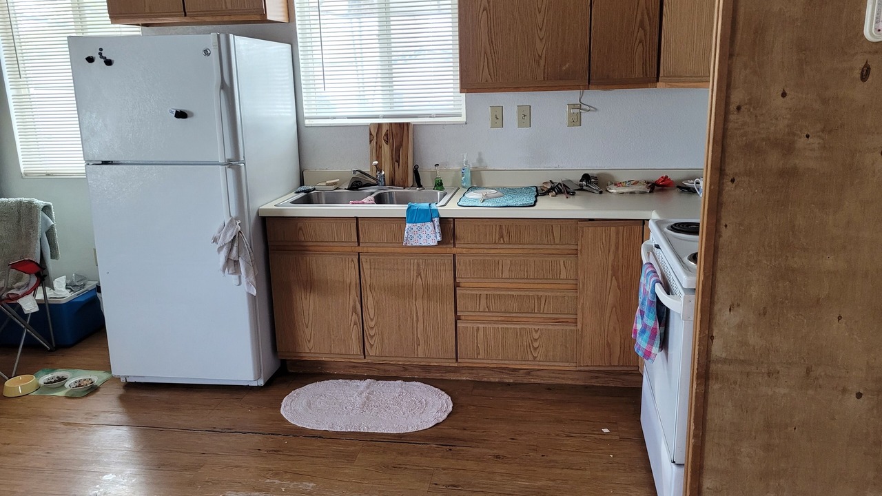 Photo of Kitchen in Clifton
