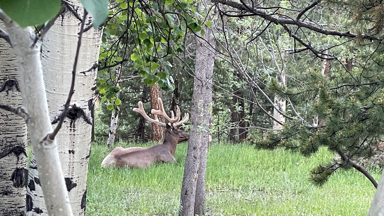 Photo of Others in Shadow Mountain