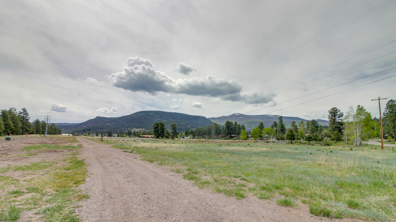 Photo of Others in Ponderosa Pines