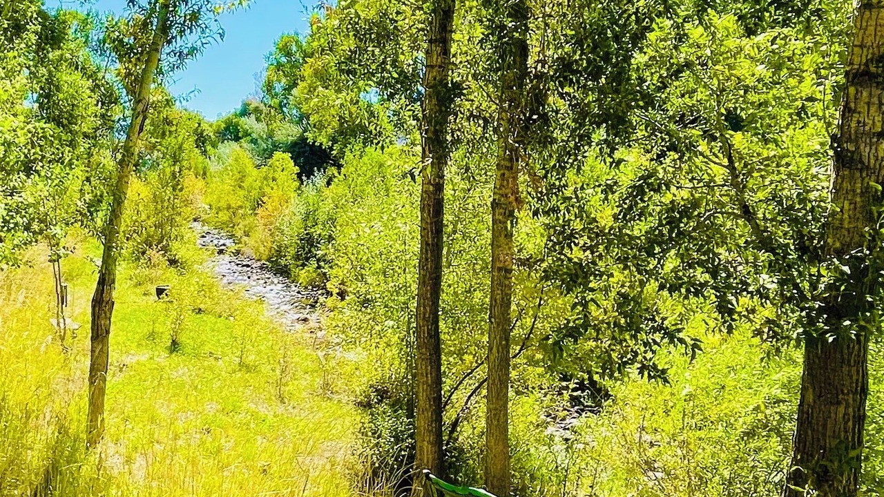 Photo of Others in La Veta