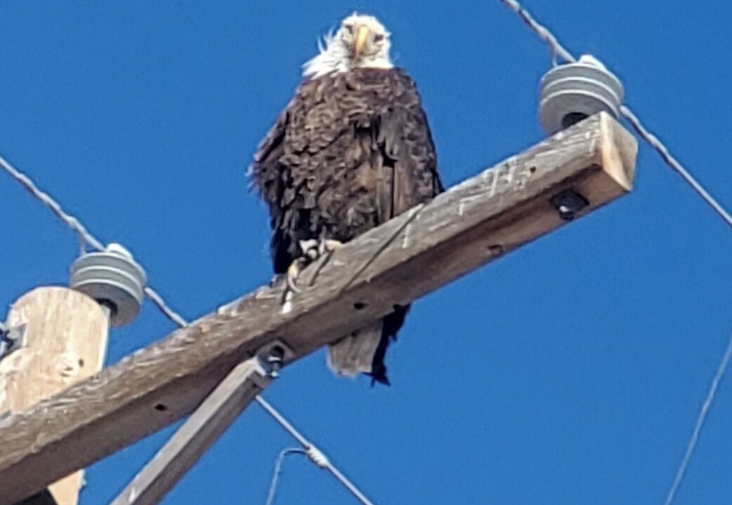 Photo of Others in Durango - Purgatory