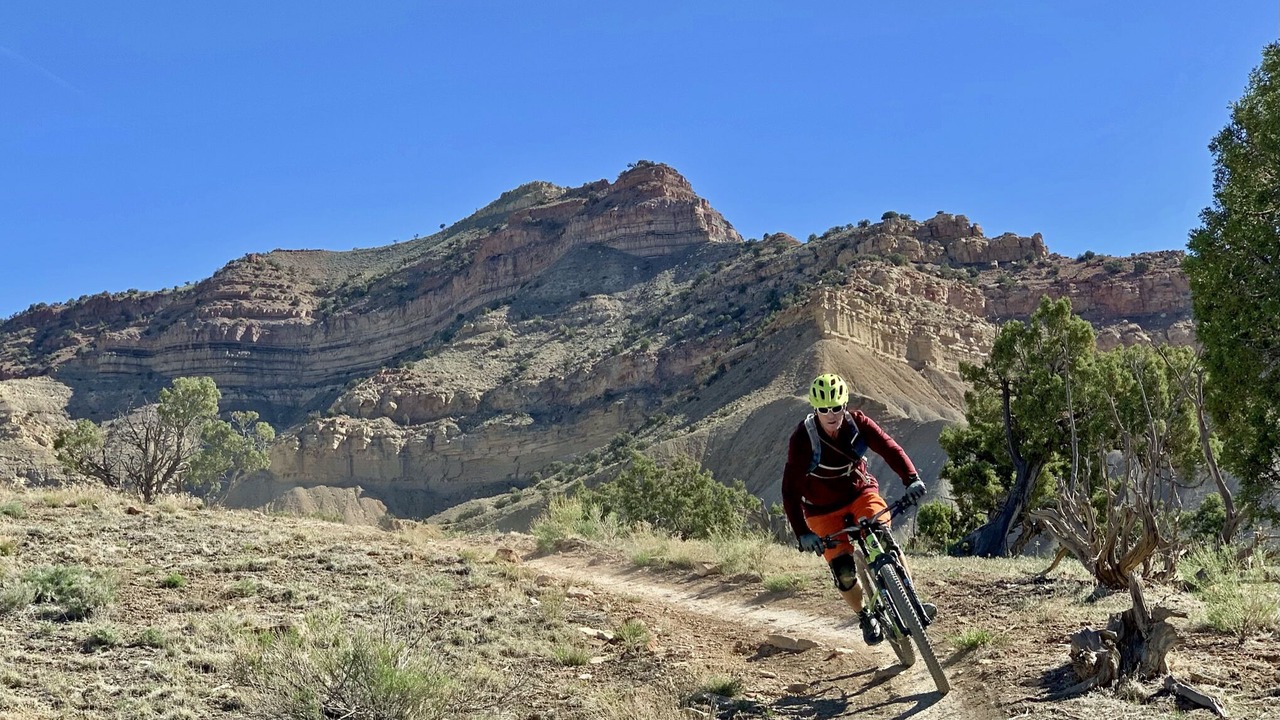Photo of Others in Fruita