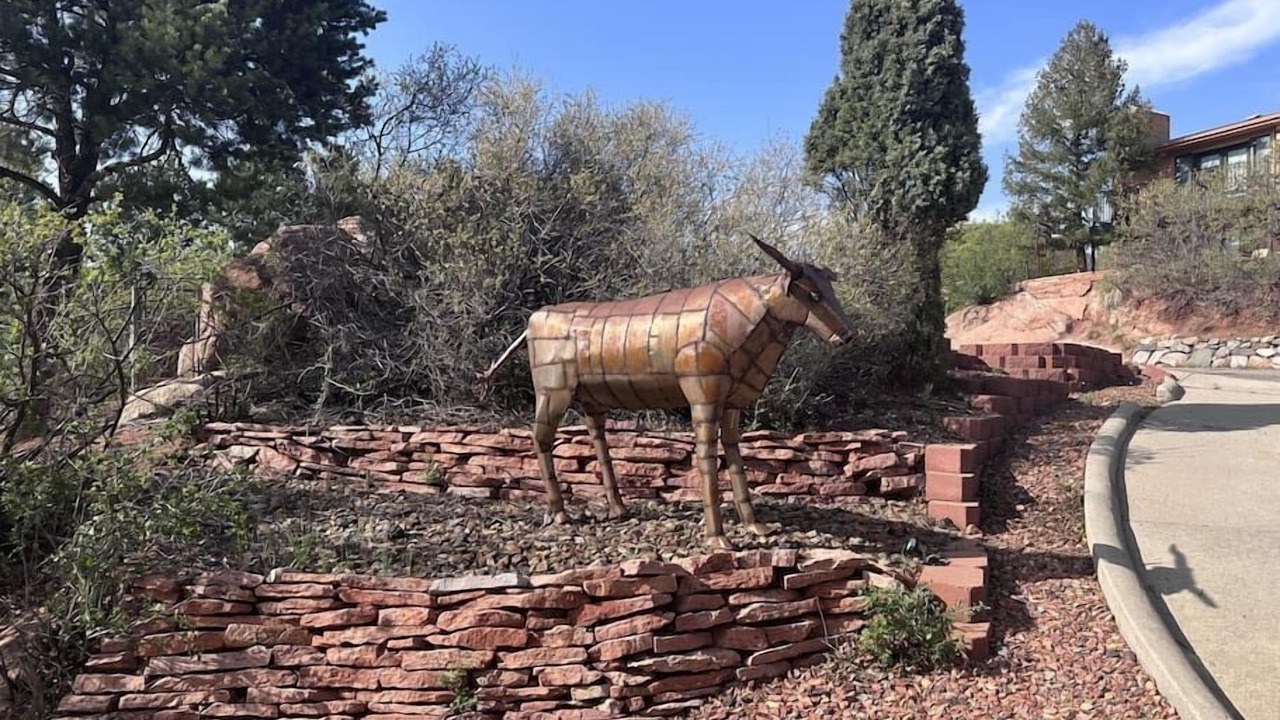 Photo of Others in West Colorado Springs