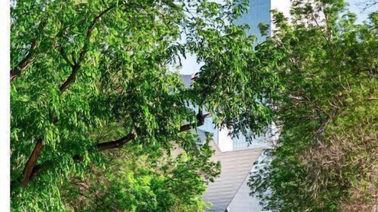Photo of Outdoor in Golden Triangle