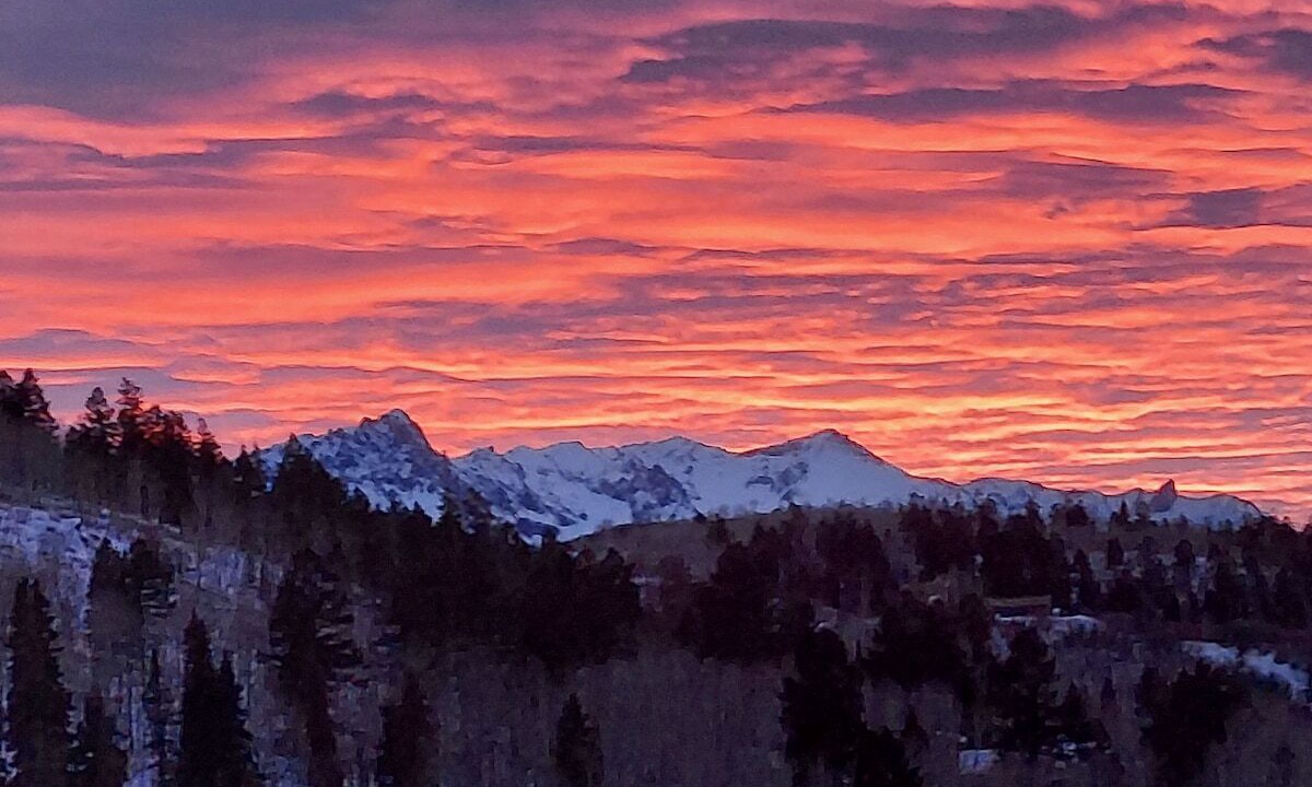 Photo of Others in Elk Meadows