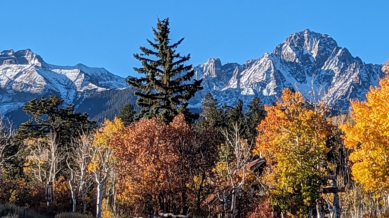 Photo of Others in Elk Meadows