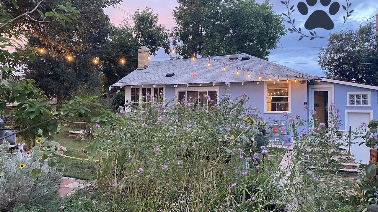 Photo of Outdoor in Morrison
