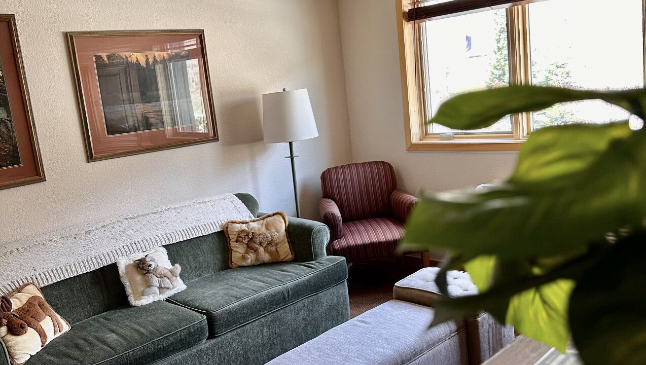 Photo of Livingroom in Mountain House