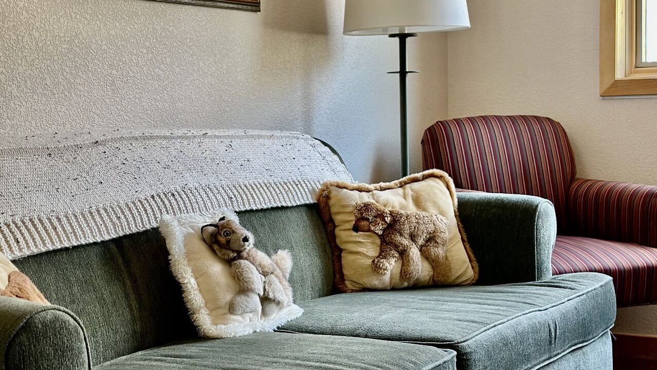 Photo of Livingroom in Mountain House