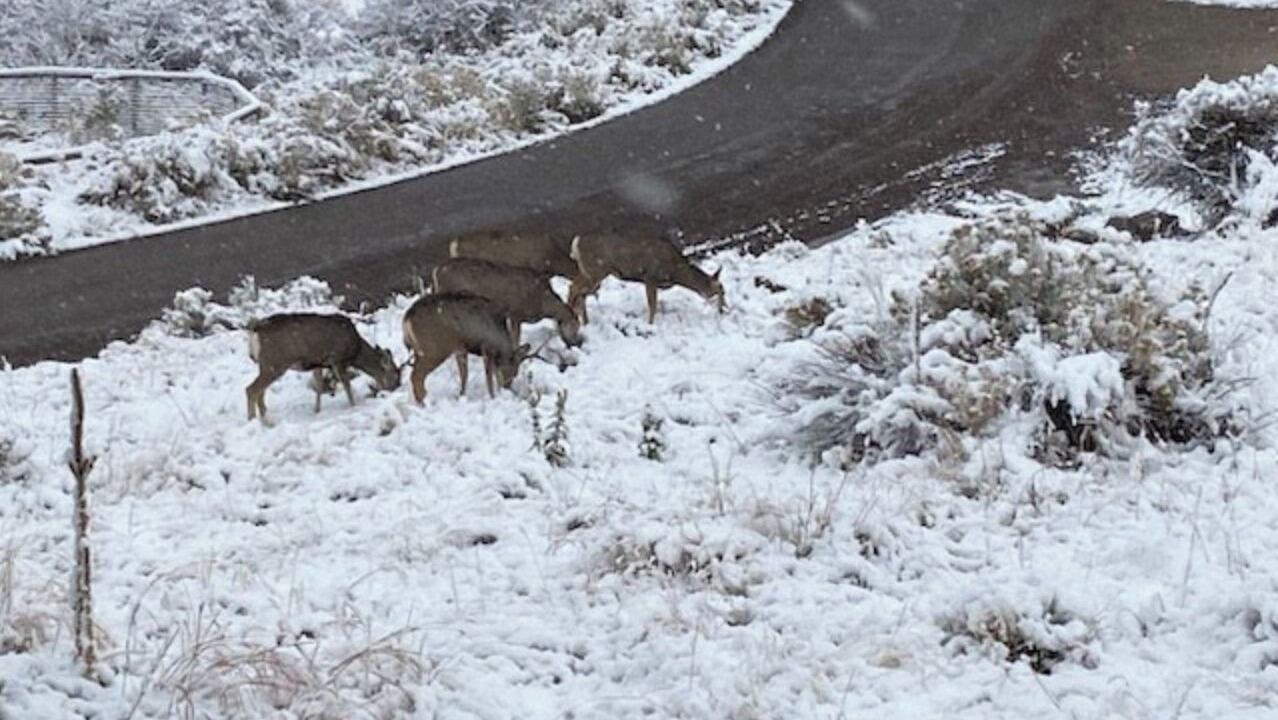 Photo of Others in Fort Collins