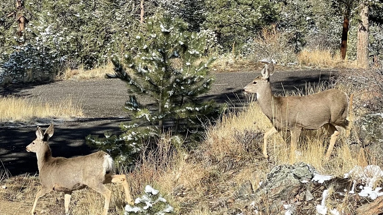 Photo of Outdoor in Bailey