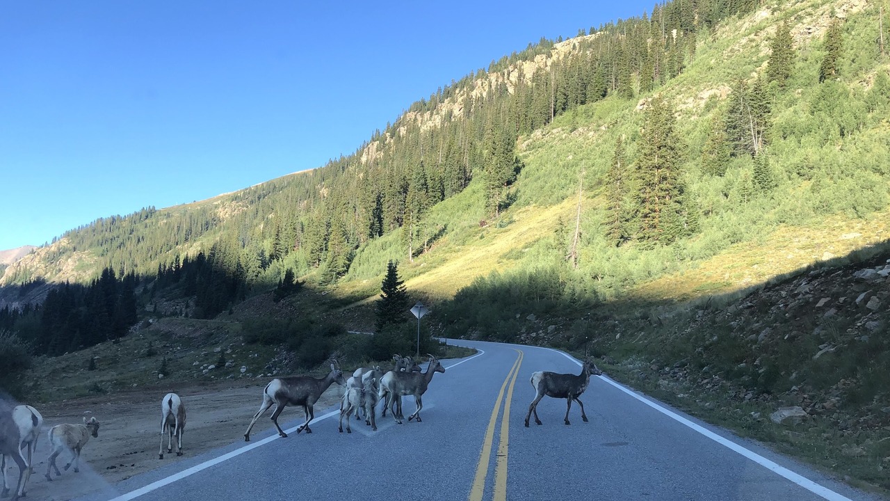 Photo of Others in Twin Lakes