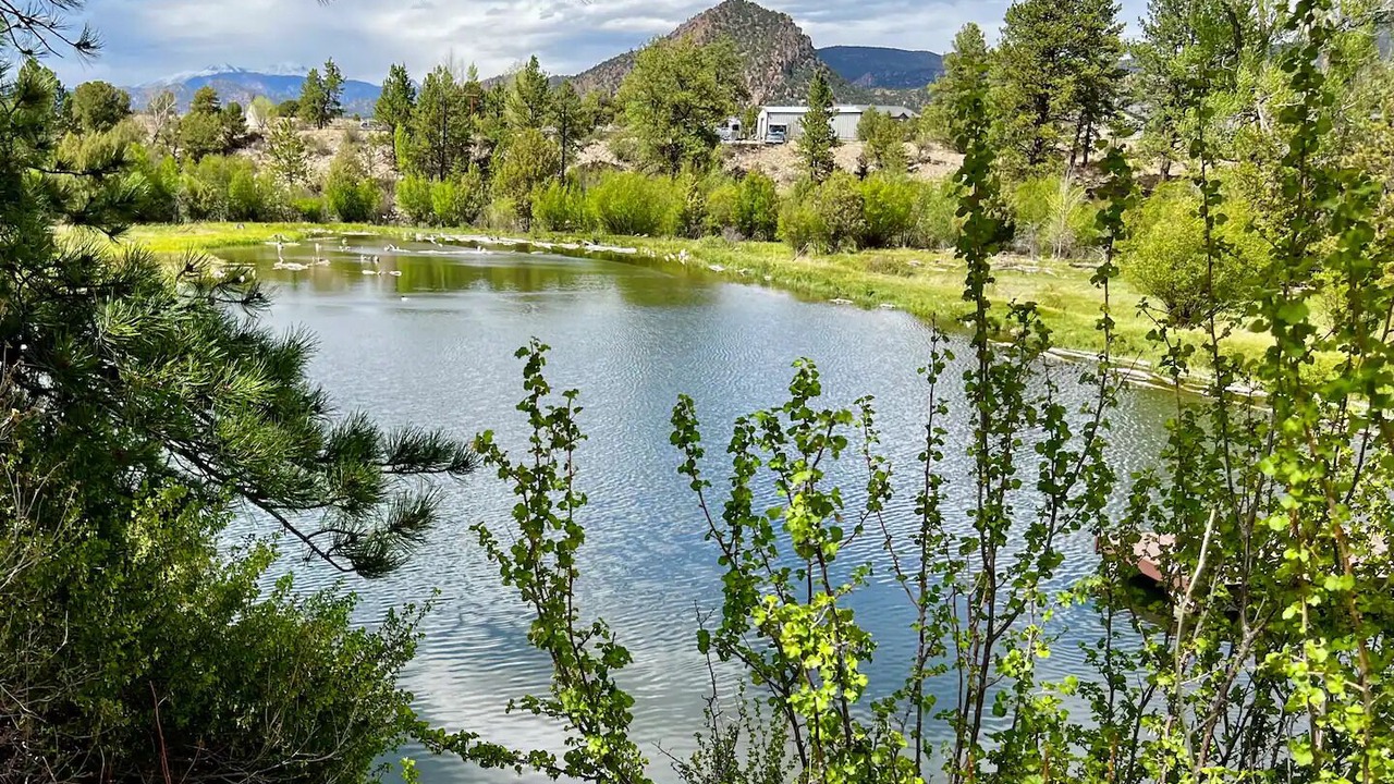 Photo of Outdoor in Whitepine