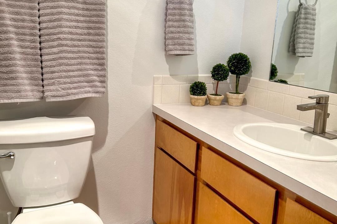 Photo of Bathroom in Montrose