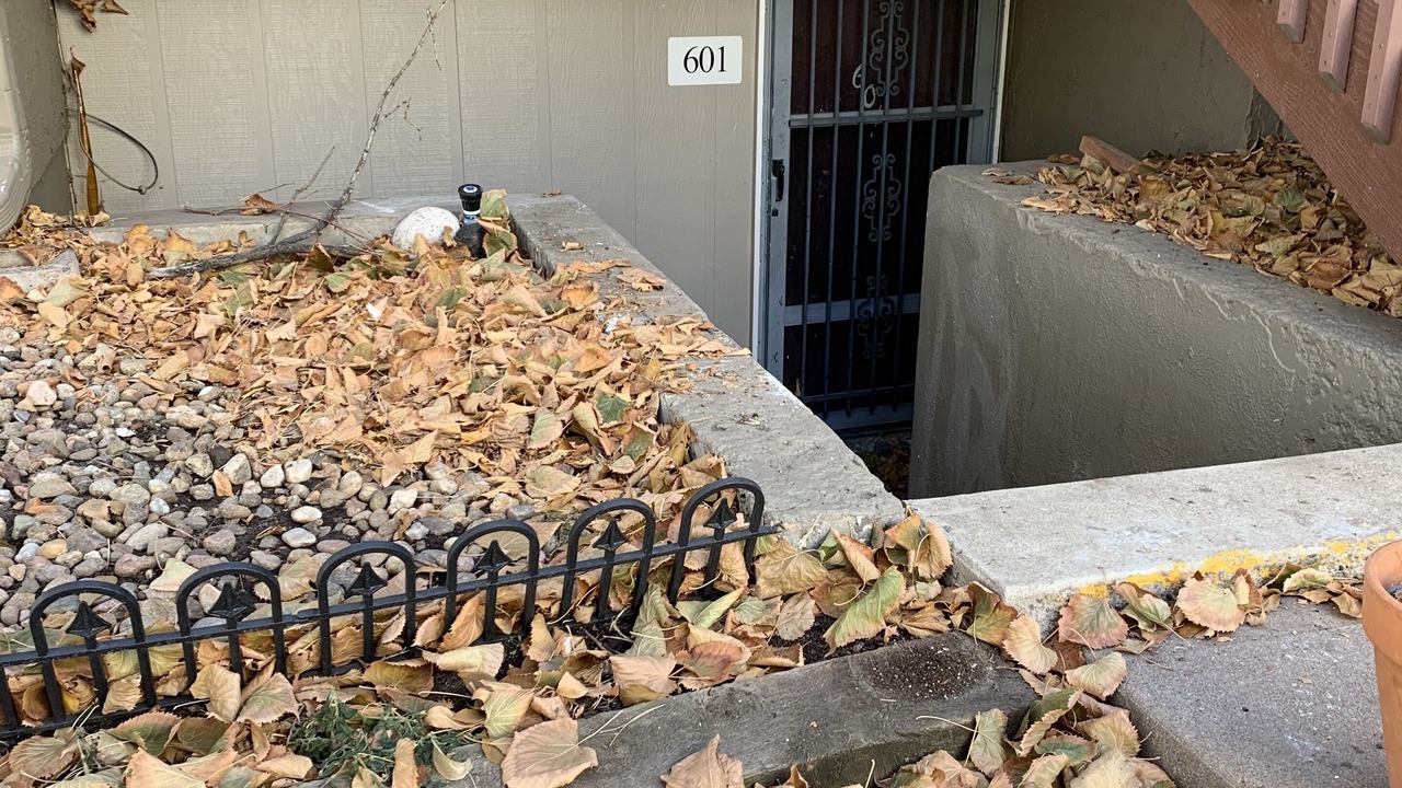 Photo of Outdoor in Glendale