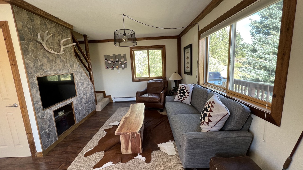 Photo of Livingroom in Indian Mountain
