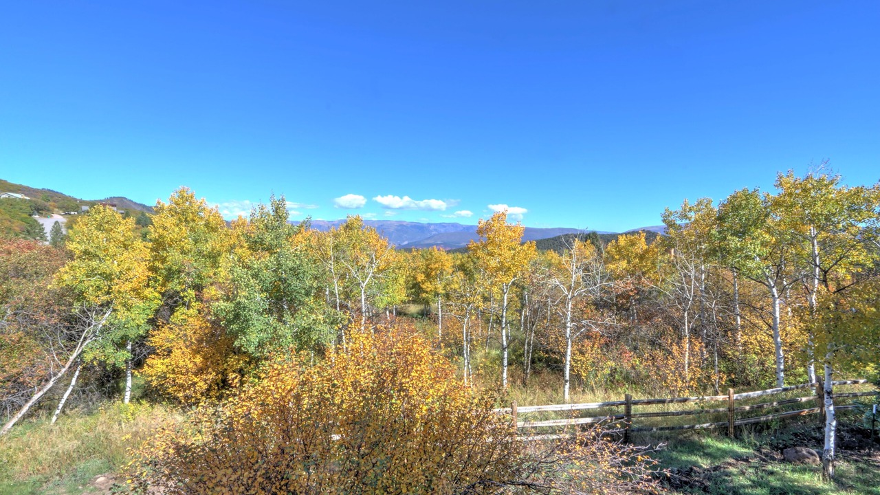 Photo of Others in Glenwood Springs