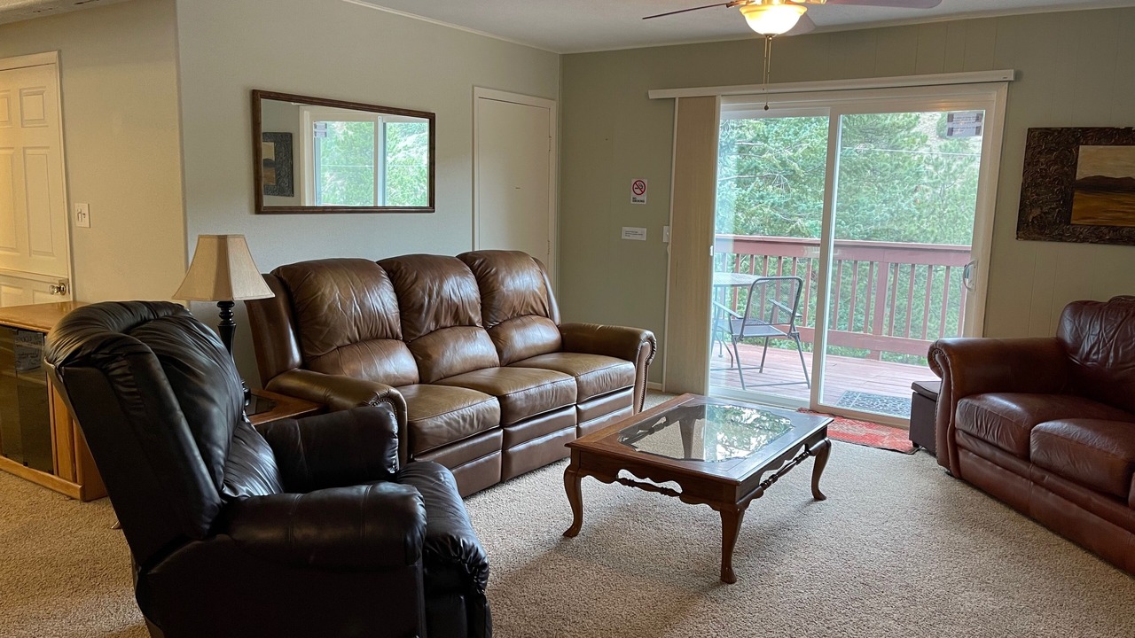Photo of Livingroom in Idaho Springs