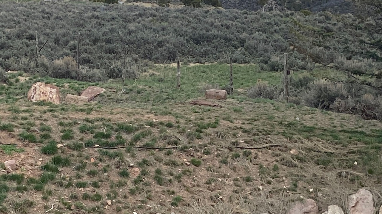 Photo of Outdoor in Edwards