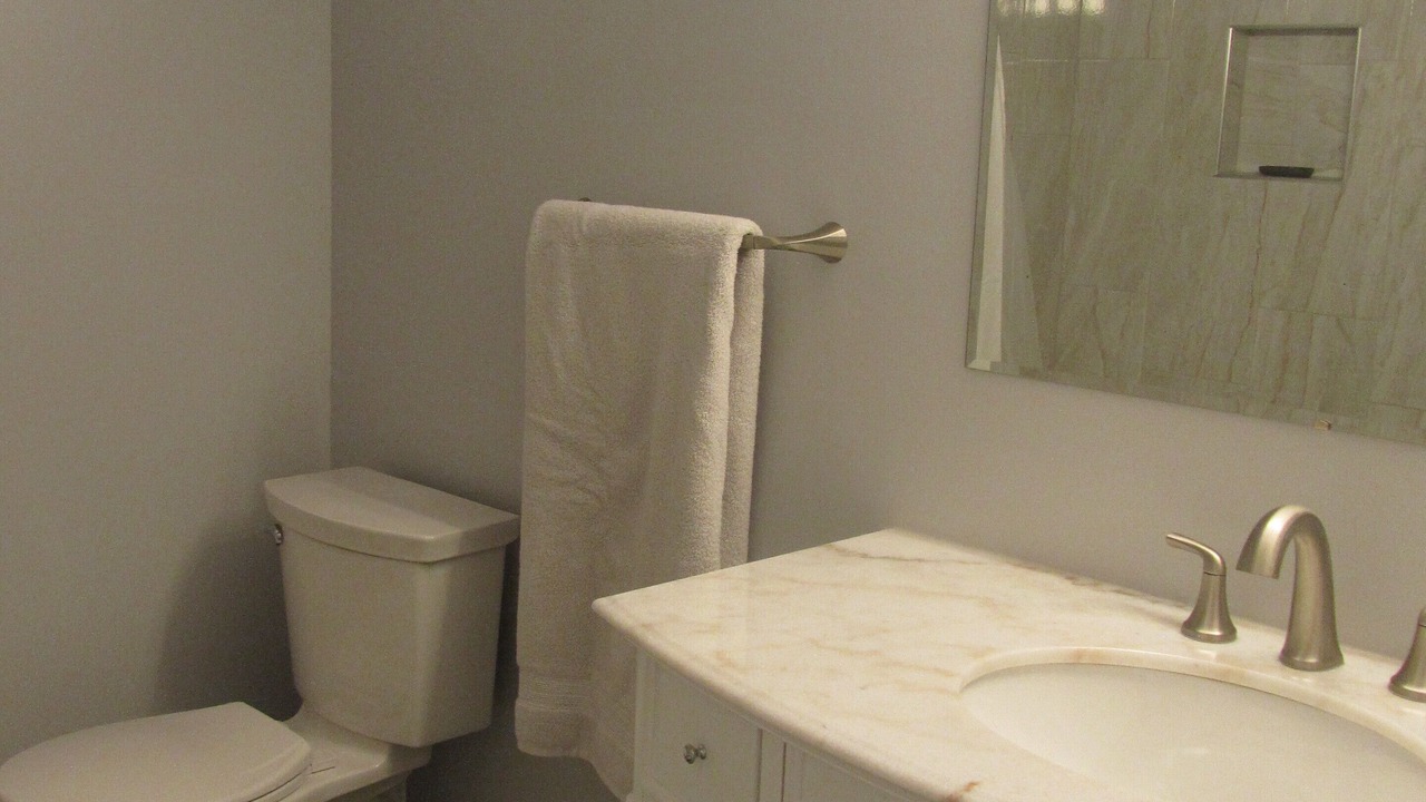 Photo of Bathroom in Fitzsimons
