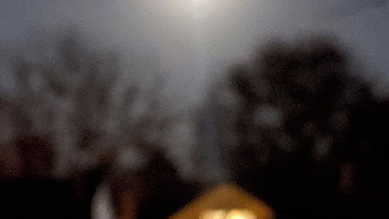 Photo of Others in Cheesman Park