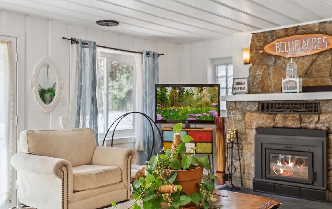 Photo of Livingroom in Idaho Springs