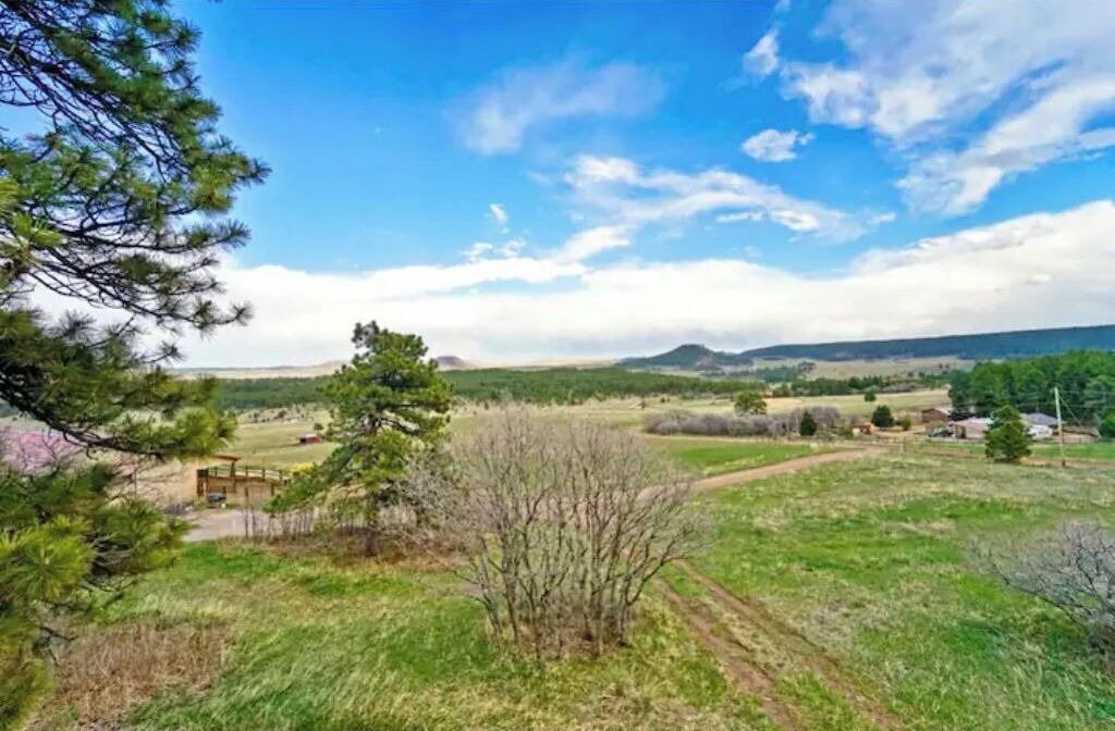 Photo of Outdoor in Larkspur
