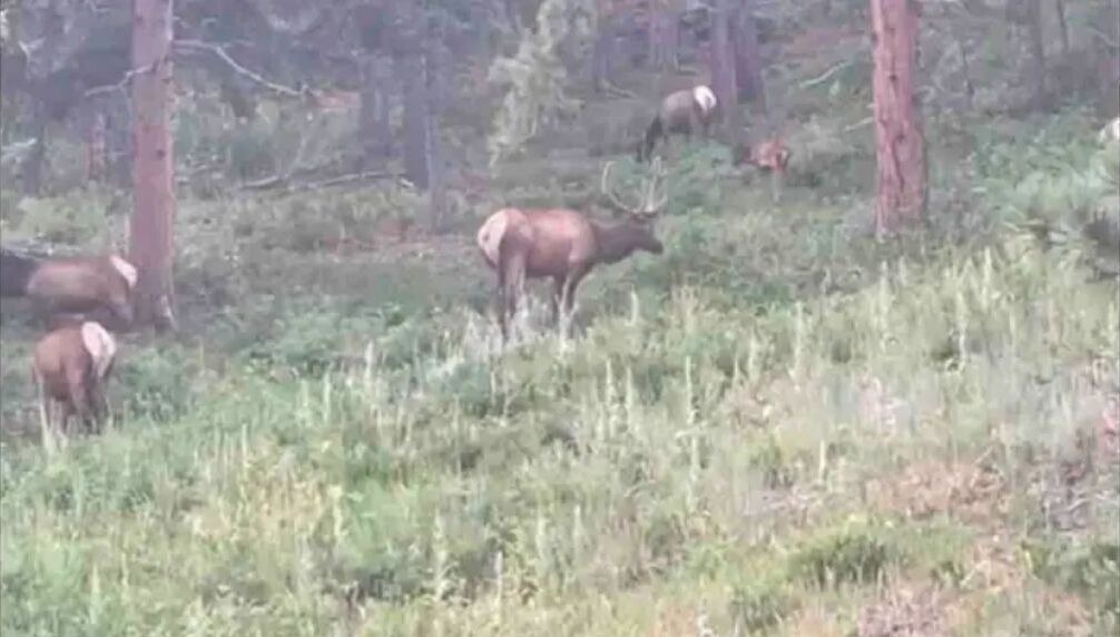 Photo of Outdoor in Larkspur
