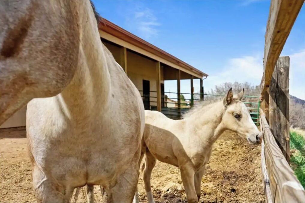 Photo of Outdoor in Larkspur