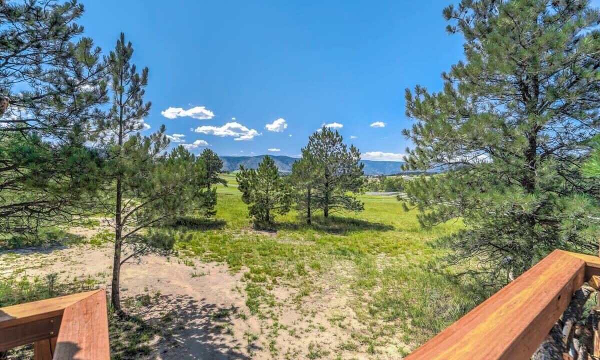 Photo of Outdoor in Larkspur
