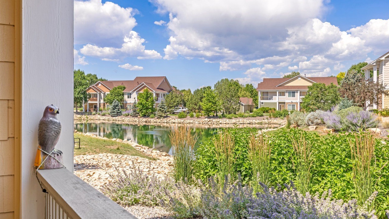 Photo of Outdoor in Centerra