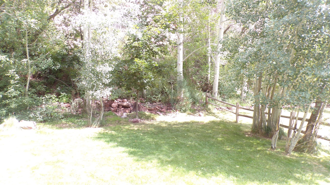 Photo of Outdoor in Ridgway