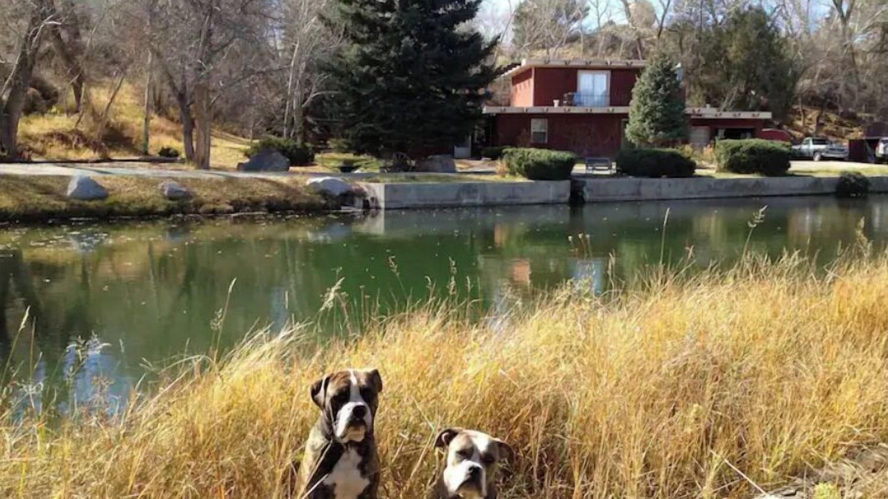 Photo of Outdoor in Salida