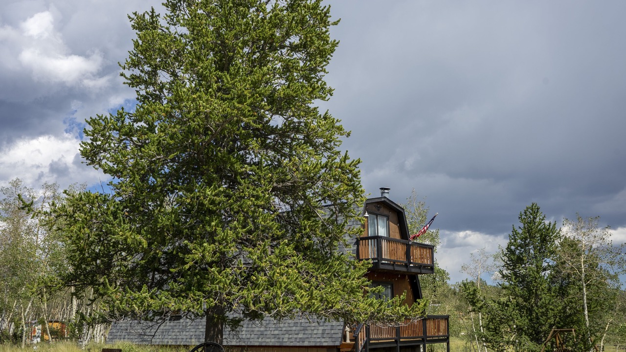 Photo of Outdoor in Stagetop