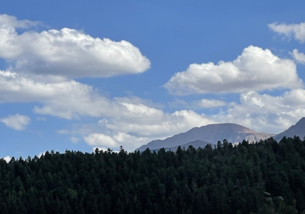 Photo of Others in Woodland Park