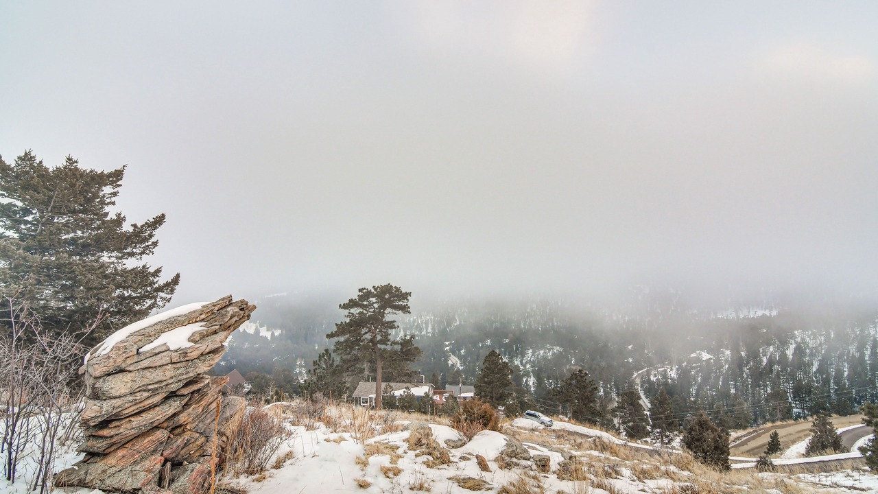 Photo of Others in Evergreen