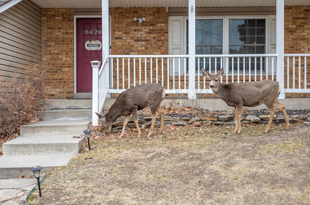 Photo of Outdoor in Rockrimmon