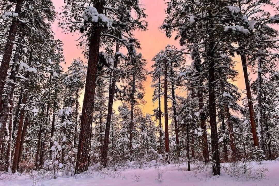 Photo of Others in Pagosa Highlands