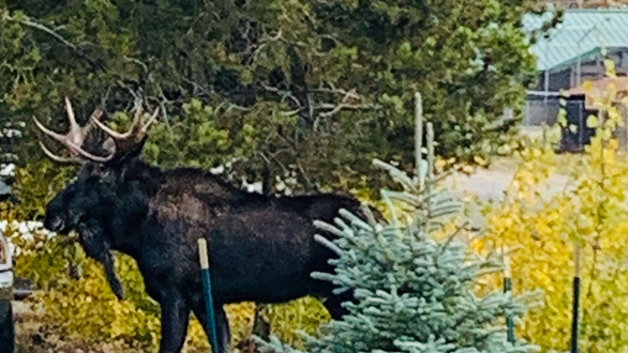 Photo of Others in Grand Lake