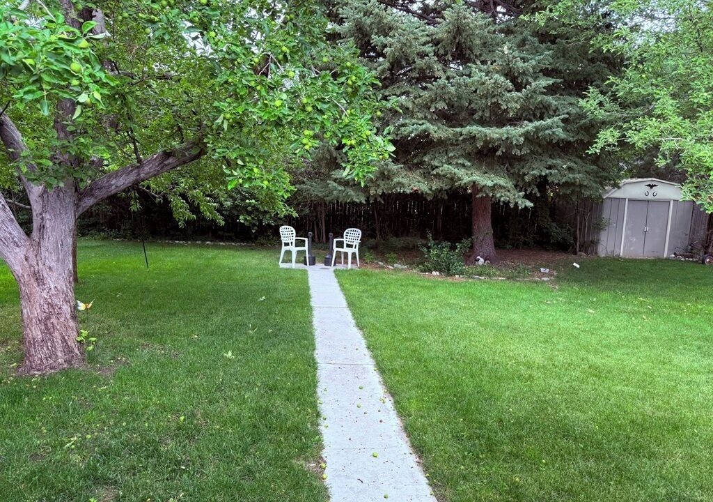 Photo of Outdoor in Morse Park
